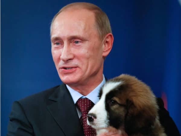 プーチンの犬好きと見え隠れする政治 名前や大統領との関係も紹介していく 世界雑学ノート