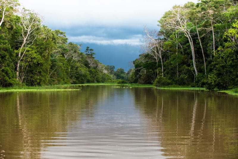 アマゾン川の豆知識 危険生物や熱帯雨林など旅行や観光の事前知識として 世界雑学ノート