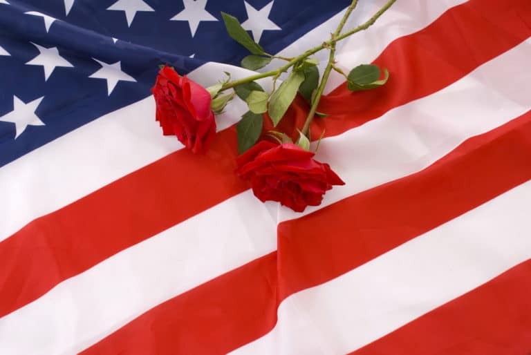 アメリカの国花はバラ 象徴として制定された歴史や豆知識など 世界雑学ノート