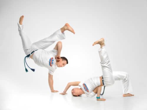 ブラジルの格闘技一覧 ブラジリアン柔術からフカフカまで7選 世界雑学ノート
