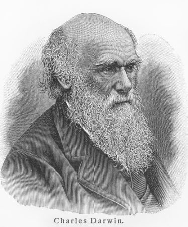 ダーウィンの名言集 格言から見る偉大な科学者の哲学や人生観 世界雑学ノート