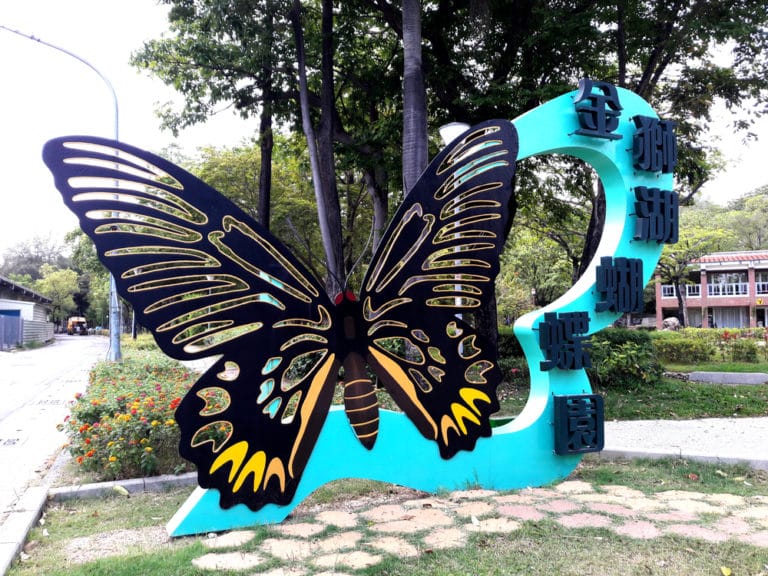 世界一大きい蝶 世界最大の蝶 世界一でかい蝶々10種 世界雑学ノート