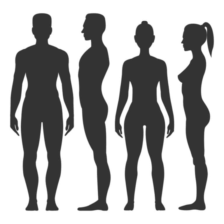 脚の長さの平均 日本人の股下の長さの平均男女 身長別一覧 世界雑学ノート