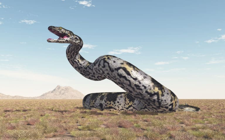 史上最大のヘビ ティタノボア 現生世界一のヘビを遥かに凌ぐ 世界雑学ノート